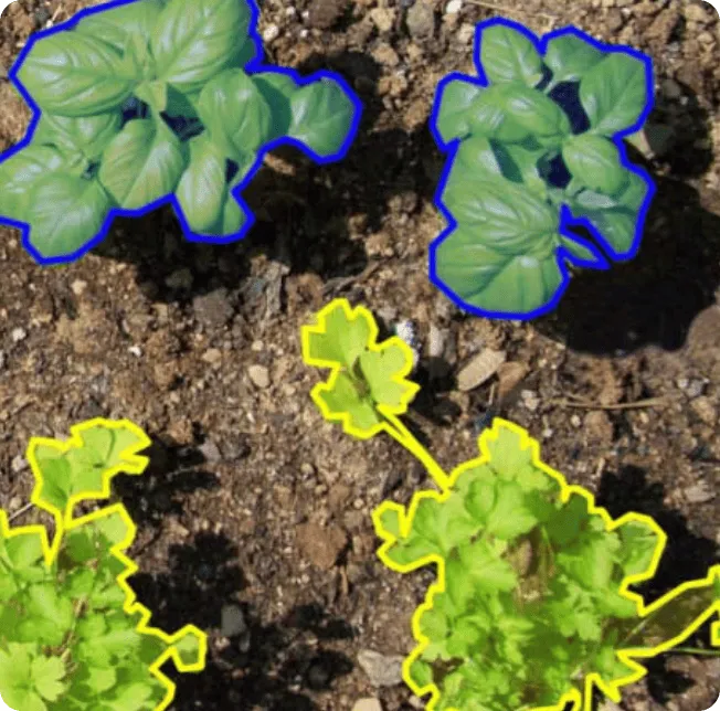 Agriculture annotation