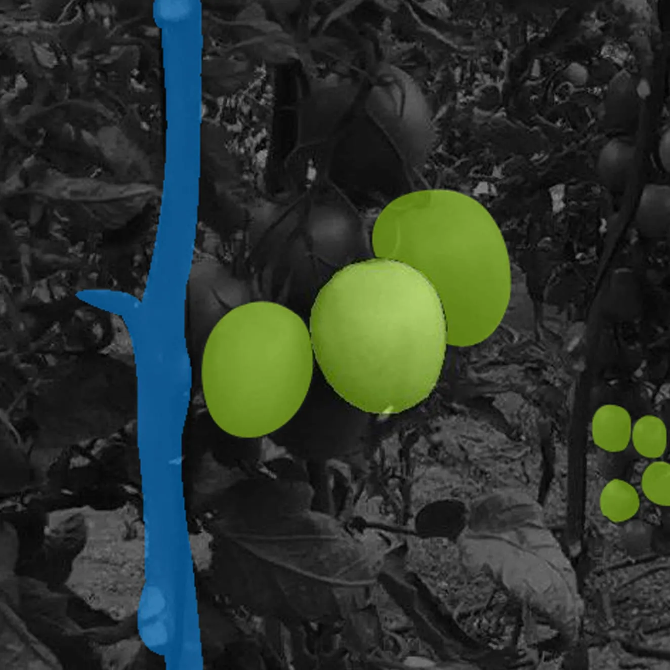  Polygon Annotation Outsourcing Services
