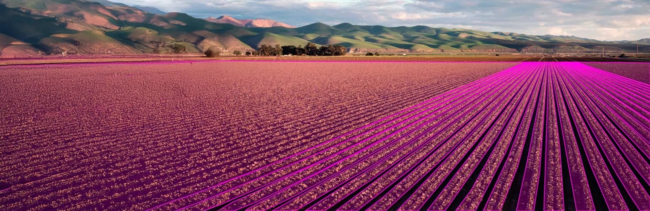 agriculture annotation