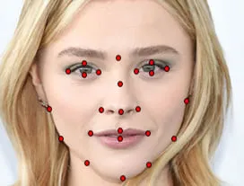  Face Annotation Support
