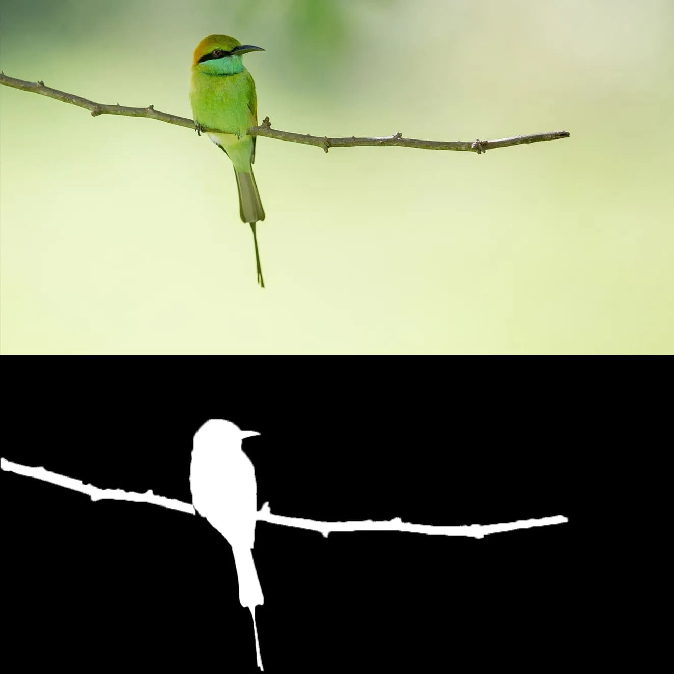 Image Masking Annotation Services