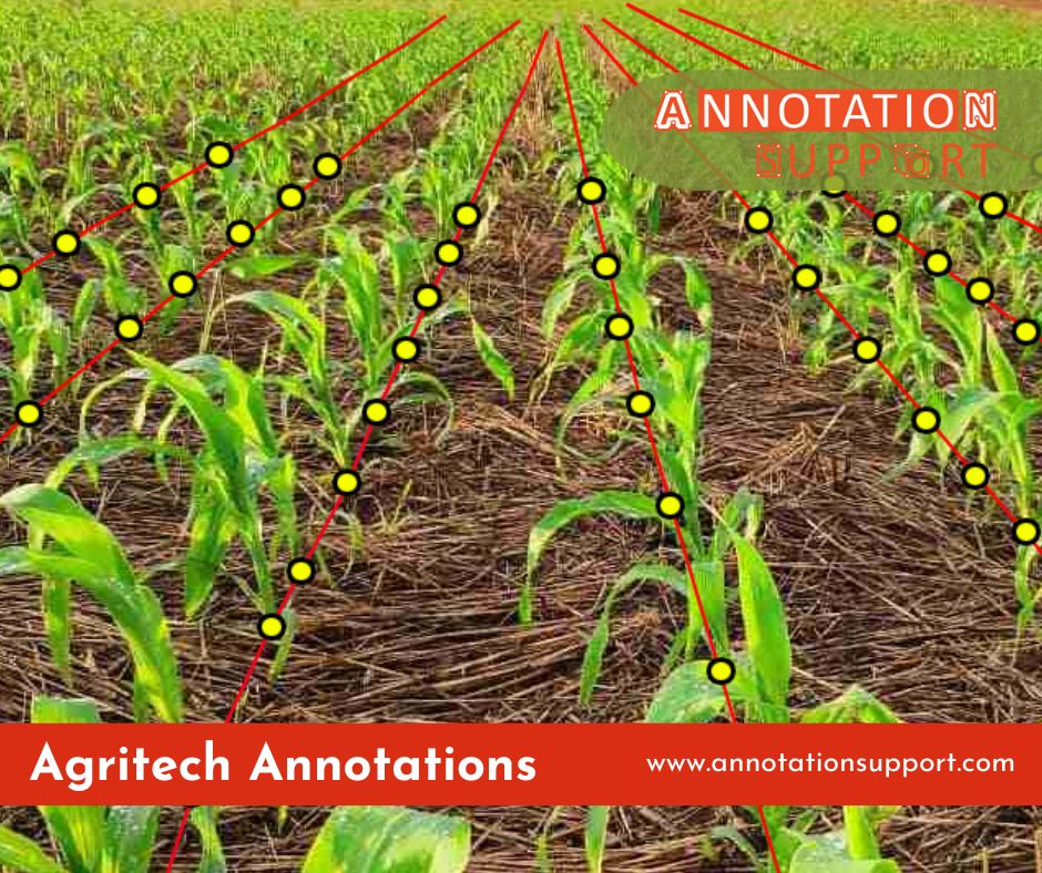 AI in Agriculture: How Annotated Data Is Feeding Smart Farming?