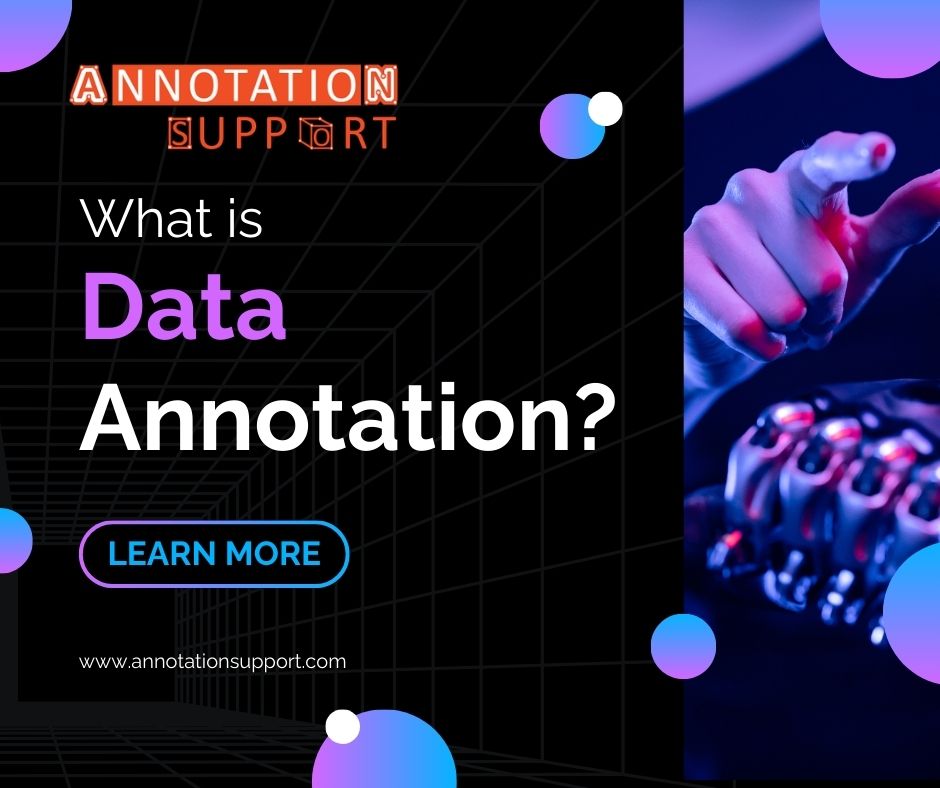 What Is Data Annotation? (Definition, Types, and Examples)