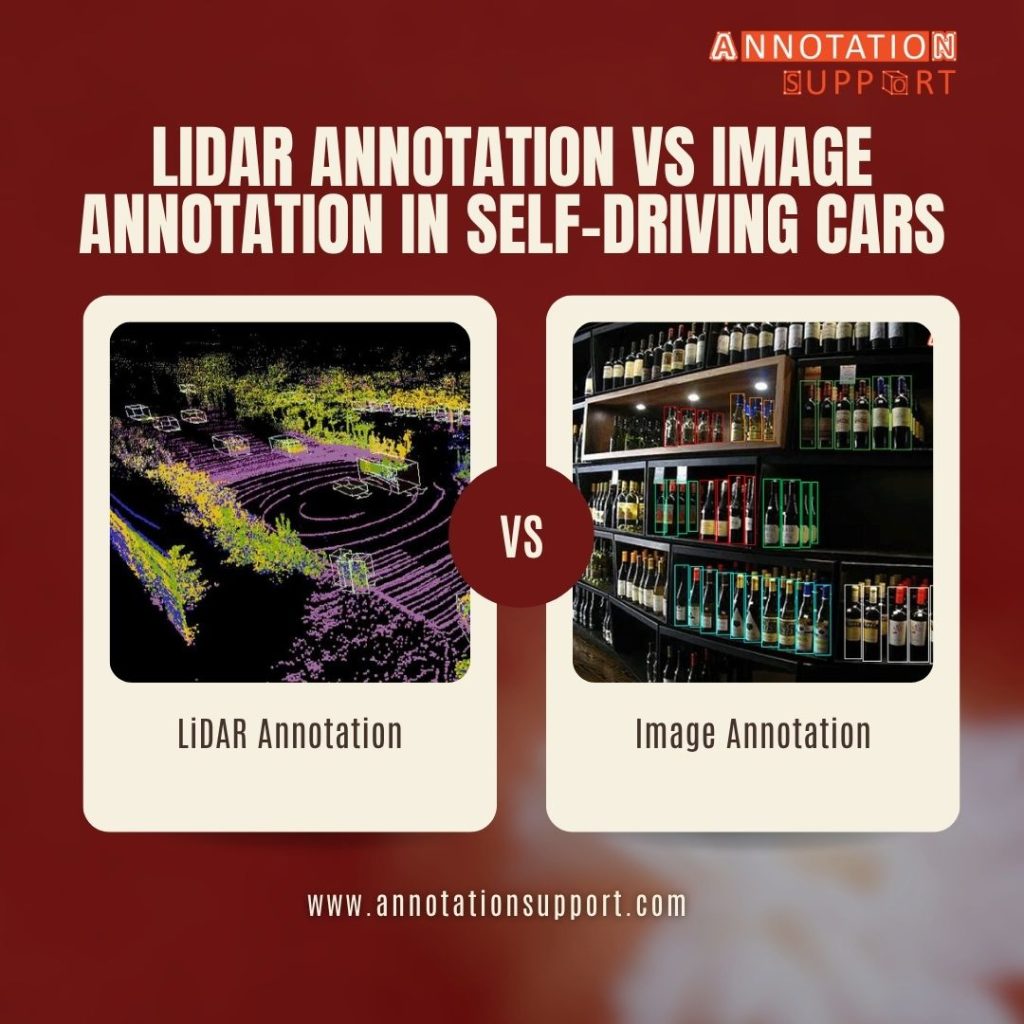 LiDAR Annotation vs Image Annotation in Self-Driving Cars